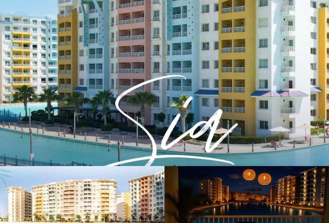 8288414 - Property Image 3