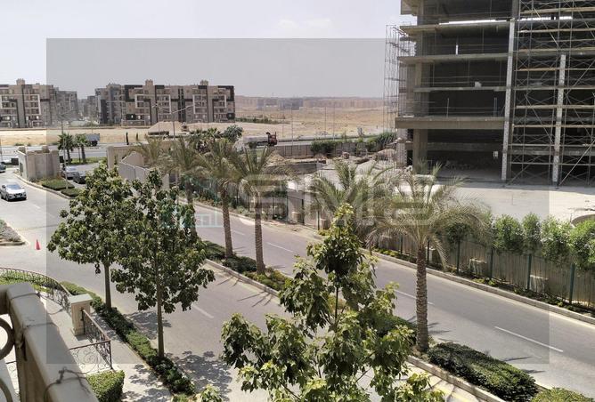 8313656 - Property Image 3