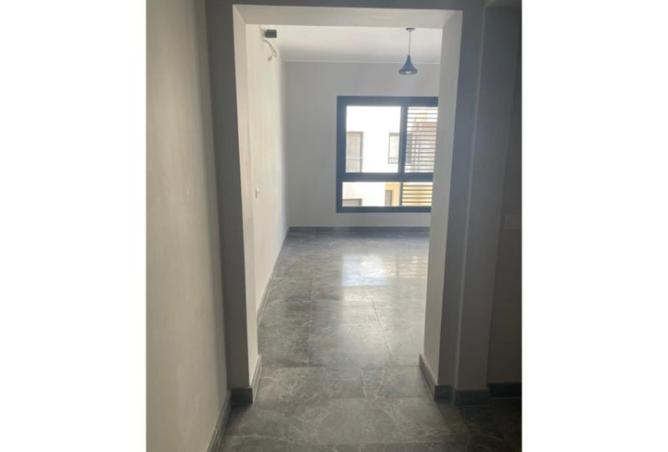 7910511 - صورة العقار 3