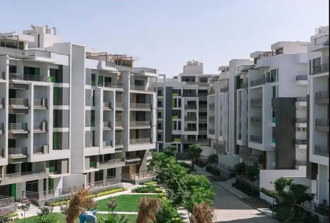 7994996 - Property Image 3