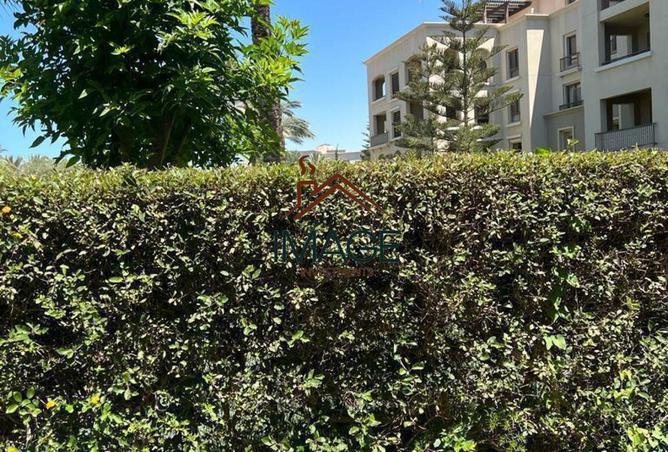 8218042 - صورة العقار 2