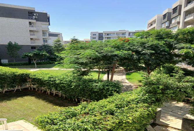 7974985 - Property Image 3