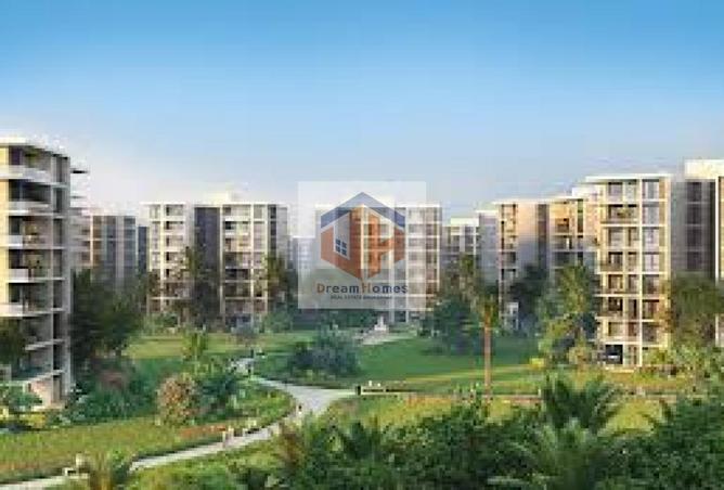 8089847 - Property Image 3