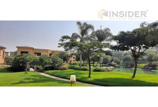 8193678 - صورة العقار 3