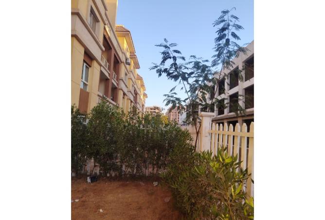 8181253 - الصورة الرئيسية للعقار