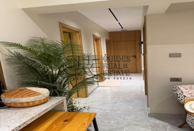 8287582 - Property Image 3