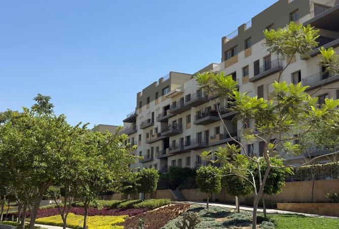 8295691 - Property Image 3