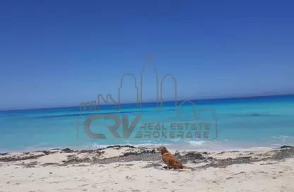 Duplex - 3 Bedrooms - 2 Bathrooms for rent in Amwaj - Sidi Abdel Rahman - North Coast