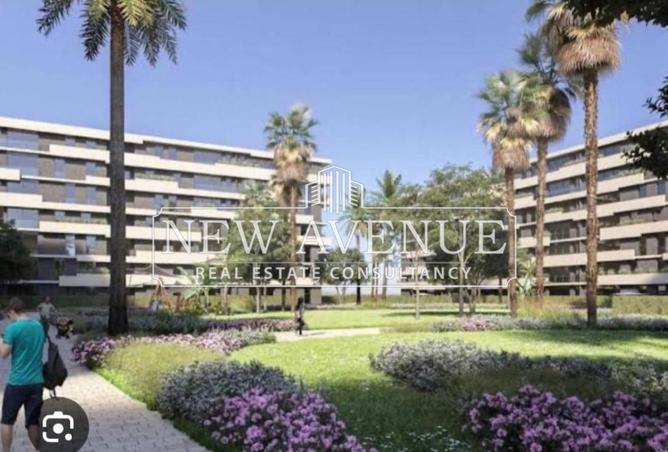 8292650 - Property Image 3