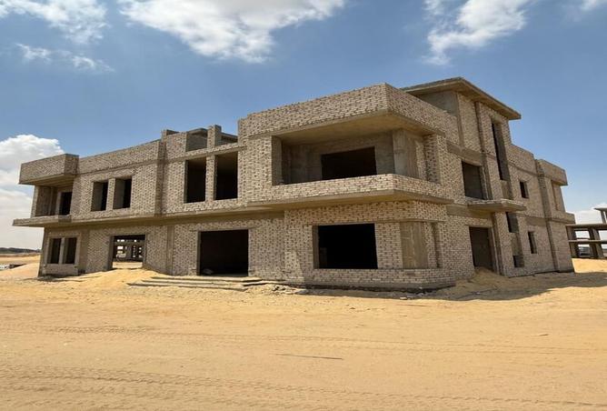 7995781 - صورة العقار 3
