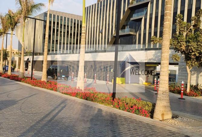 8504441 - Property Image 3