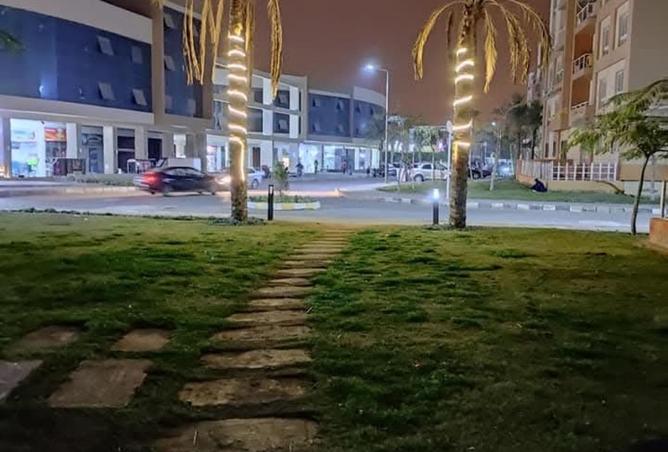 8161204 - صورة العقار 3