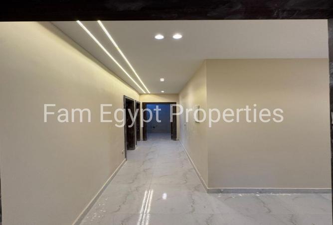8106163 - Property Image 3