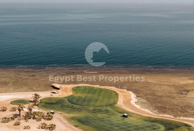 8140002 - صورة العقار 3