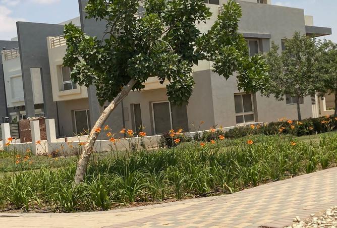 7888291 - صورة العقار 3