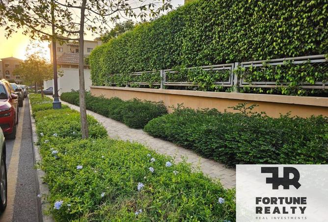 8489394 - Property Image 3