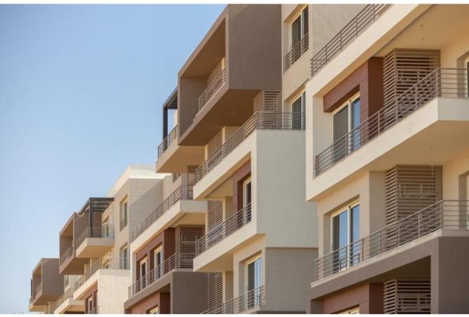 8215701 - Property Image 3