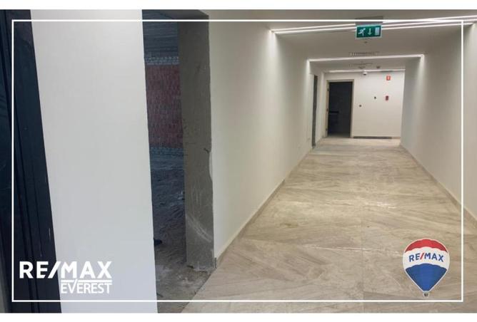 8134482 - Property Image 3