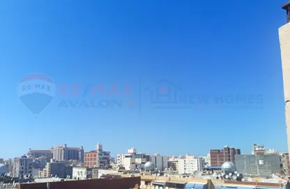Apartment - 3 Bedrooms - 1 Bathroom for sale in Zezenia - Hay Sharq - Alexandria