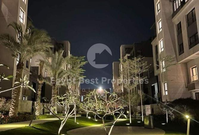 8474633 - Property Image 2