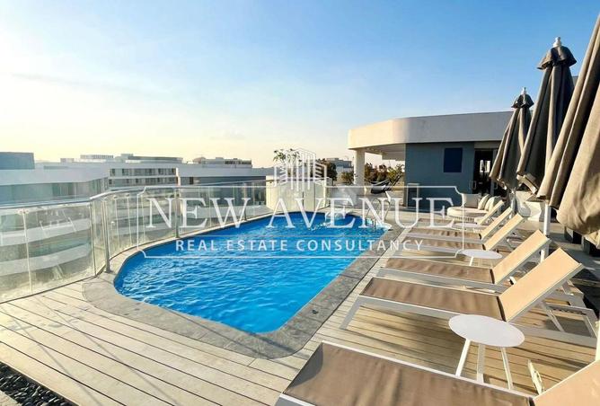 8129578 - Property Image 2