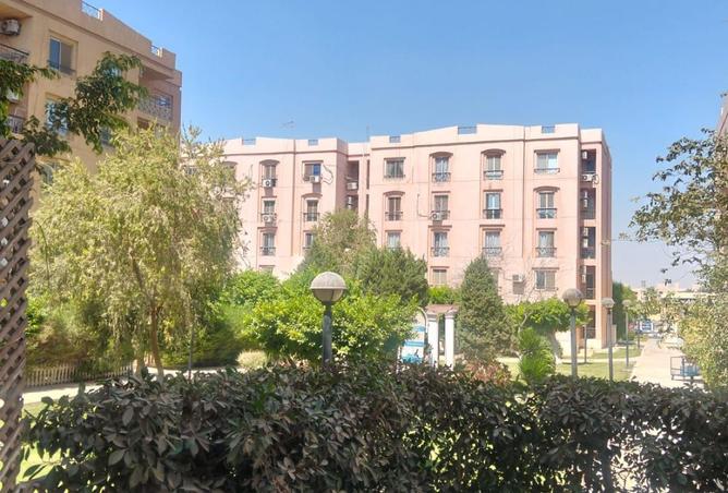 7926117 - Property Image 3