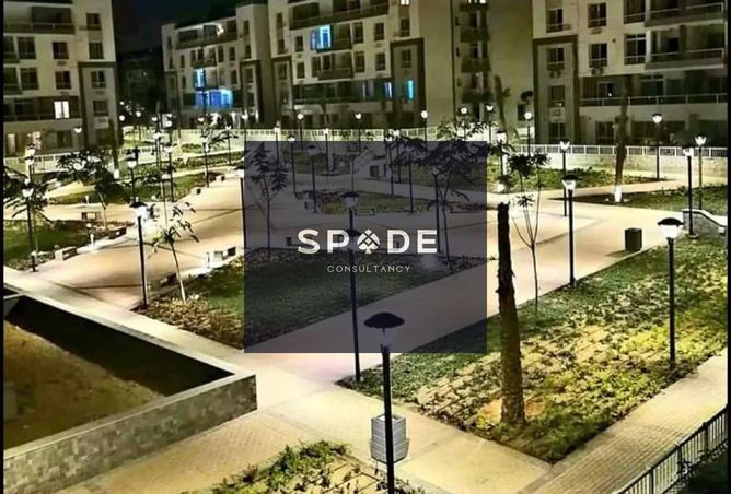 8436494 - Property Image 3