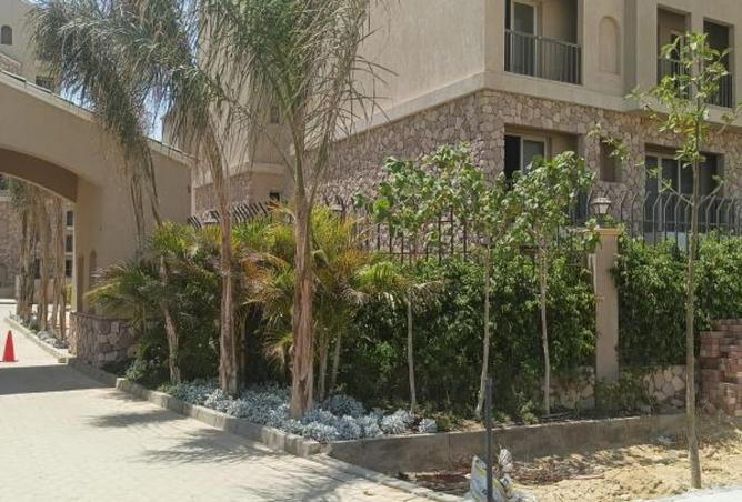 7913692 - صورة العقار 2