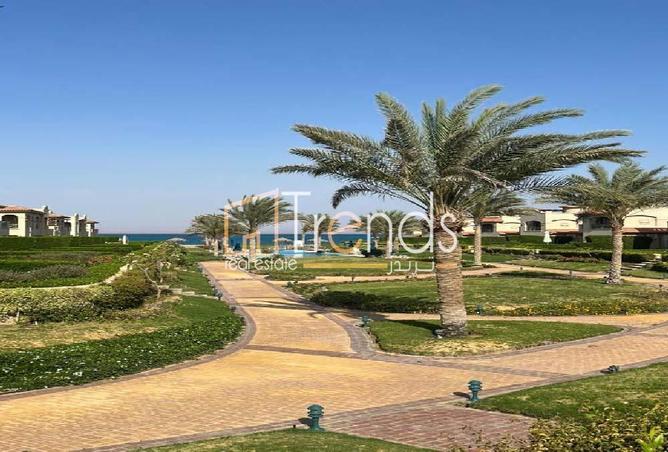 7941295 - صورة العقار 3