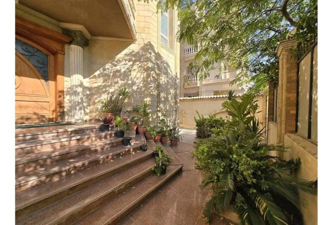 7954932 - صورة العقار 3