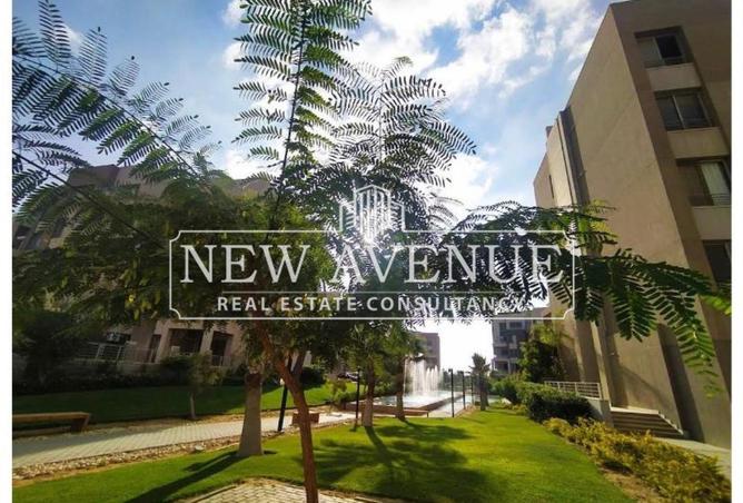 8334421 - Property Image 3