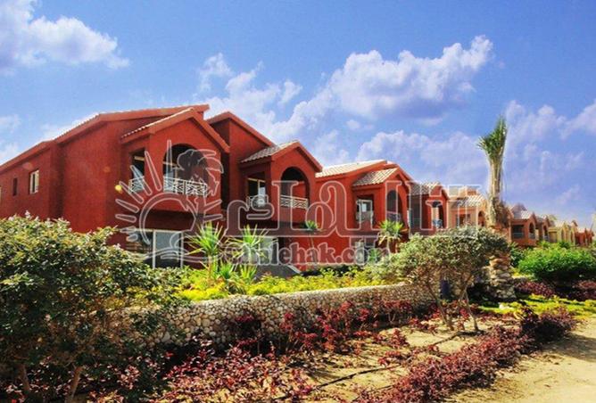 8123892 - Property Image 3