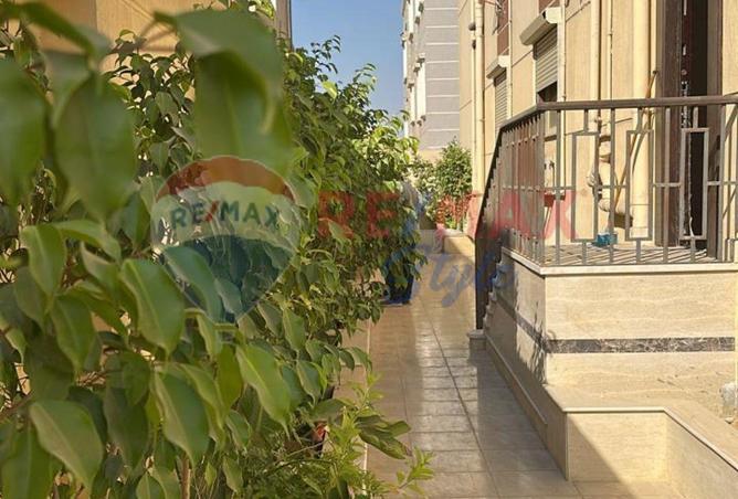 7972932 - صورة العقار 3