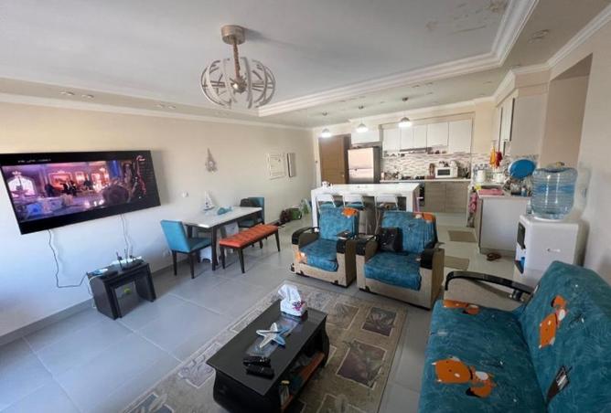 8439086 - Property Image 3