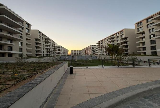 8393633 - Property Image 3