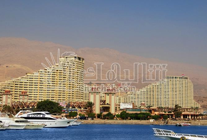 8039599 - صورة العقار 2