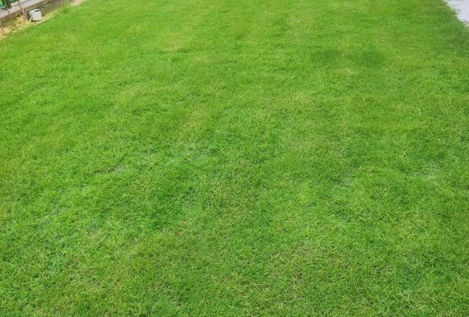 8556943 - Property Image 3