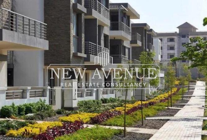 8346345 - Property Image 3