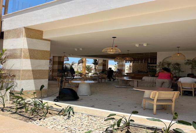 7974688 - Property Image 3