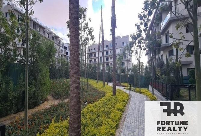 8372432 - Property Image 2