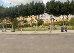 Whole Building - 8 bathrooms for للبيع in Block 36 - District 1 - The 5th Settlement - New Cairo City - Cairo