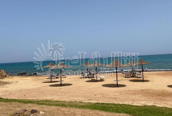 8296195 - Property Image 2