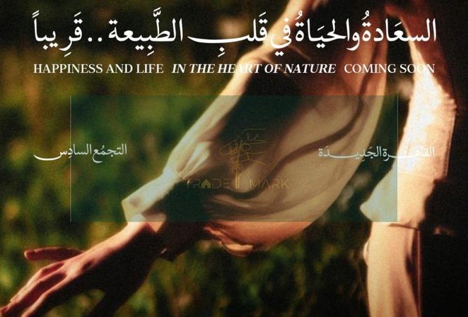 8035265 - الصورة الرئيسية للعقار