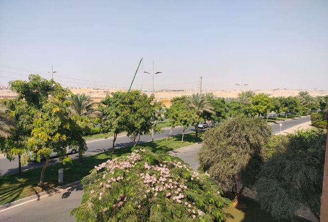 7941237 - صورة العقار 3