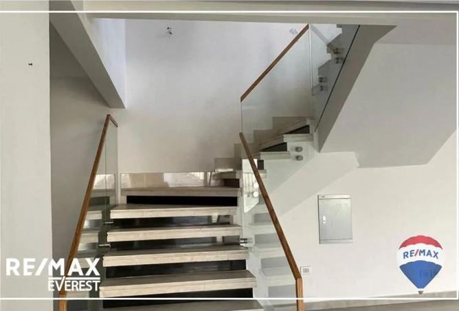 7947873 - Property Image 3