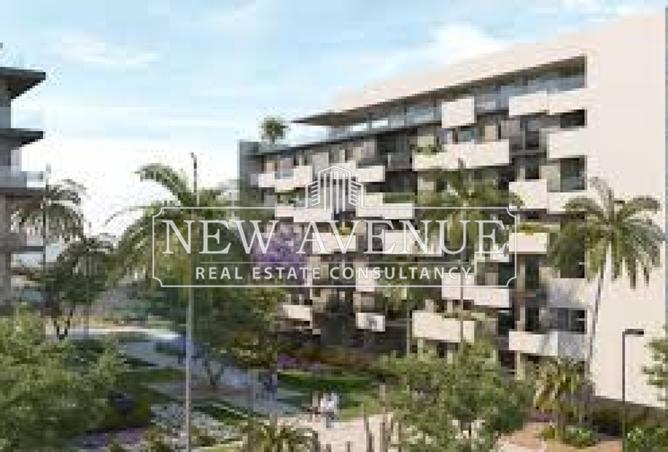 8219939 - Property Image 3