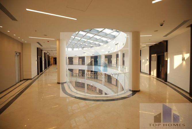 8282266 - Property Image 3