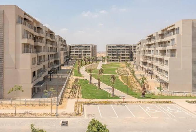 8169337 - صورة العقار 3