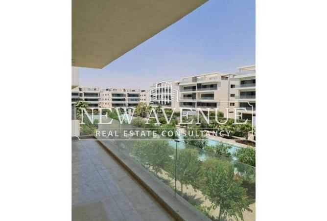 8098091 - Property Image 3