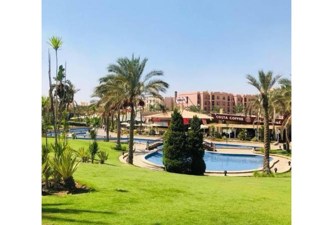 8444414 - Property Image 3